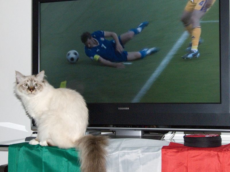Clicca per vedere l'immagine alla massima grandezza