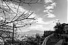 Filename=DSC06047.jpg
Filesize=375KiB
Dimensions=1280x850
Date added=Dec 31, 2014 DSC06047.jpg