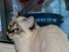 DSCF3004.jpg