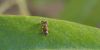 DSCF3069.jpg