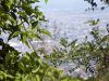DSCF3621.jpg