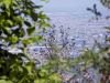 DSCF3622.jpg