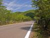 DSCF3626.jpg