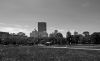 DSC_0965.jpg
