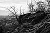 DSC05618.jpg