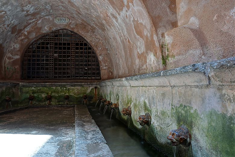 Clicca per vedere l'immagine alla massima grandezza