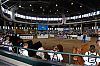 DSC_5154_1280.jpg