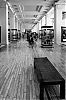 DSC06830.jpg