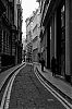 DSC_7012_1280.jpg