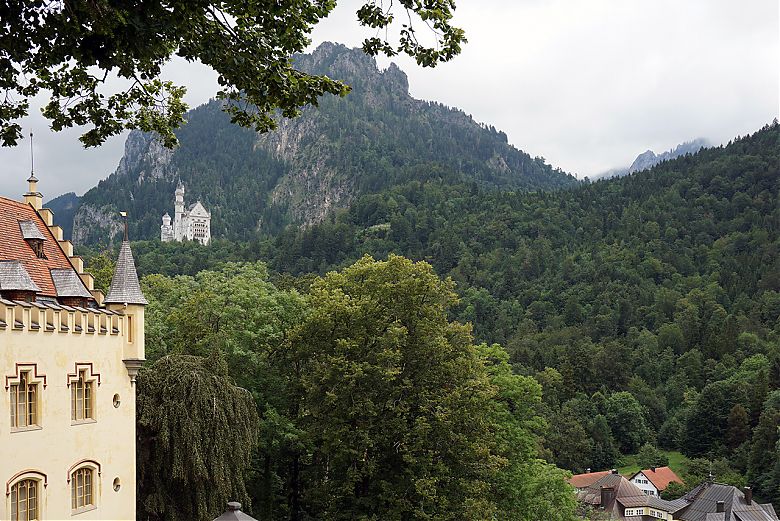 Clicca per vedere l'immagine alla massima grandezza