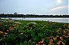 Filename=DSC_6532_1280.jpg
Filesize=443KiB
Dimensions=1280x857
Date added=Dec 30, 2012 DSC_6532_1280.jpg