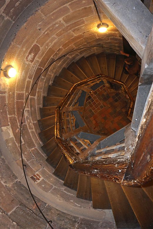 Clicca per vedere l'immagine alla massima grandezza