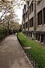 DSC06900.jpg