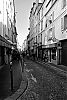 DSC_8596_1280.jpg