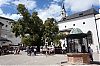 DSC03978.jpg