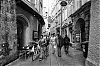 DSC04029.jpg
