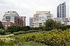 DSC_4096_1280.jpg